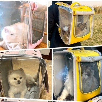 Portable Pet Go out Cat Backpack