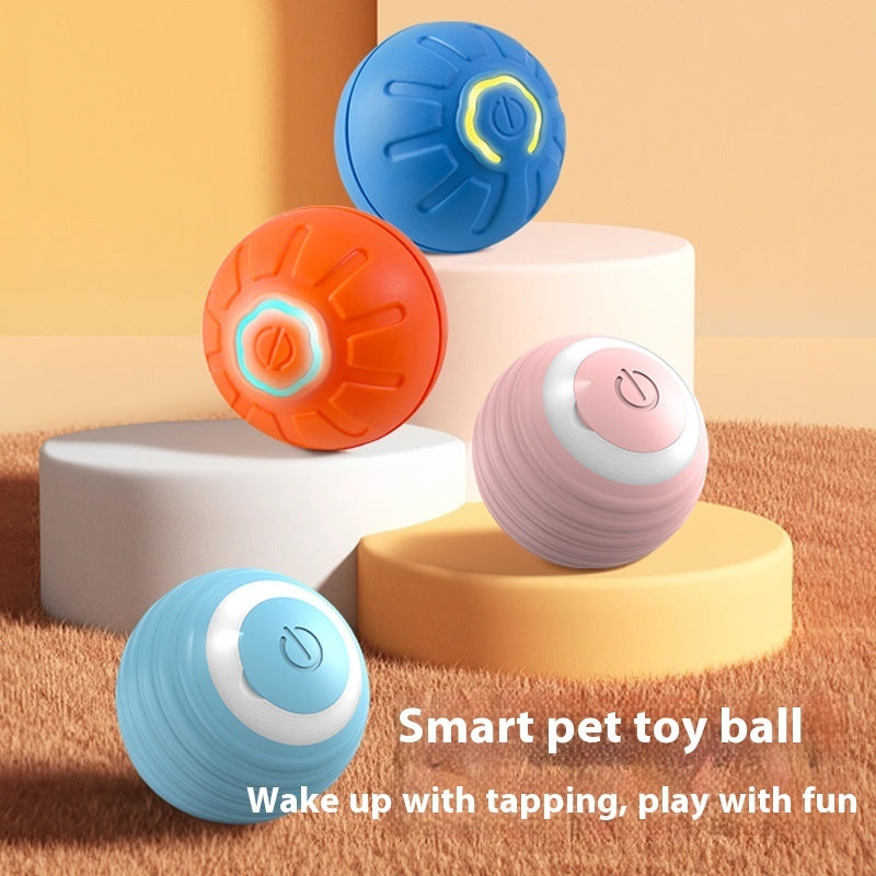 USB Smart Automatic Moving Dog Ball