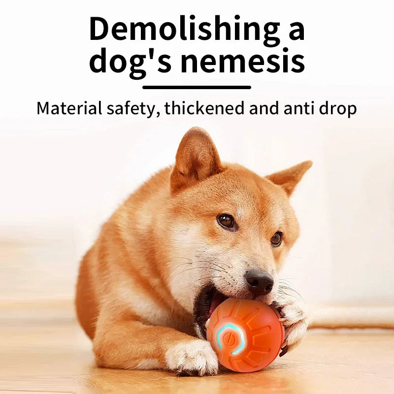 USB Smart Automatic Moving Dog Ball