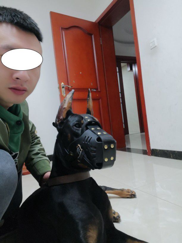 Medium And Large Cowhide Dog Muzzle