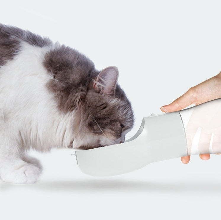 Portable Dog Travel Out Water Dispenser