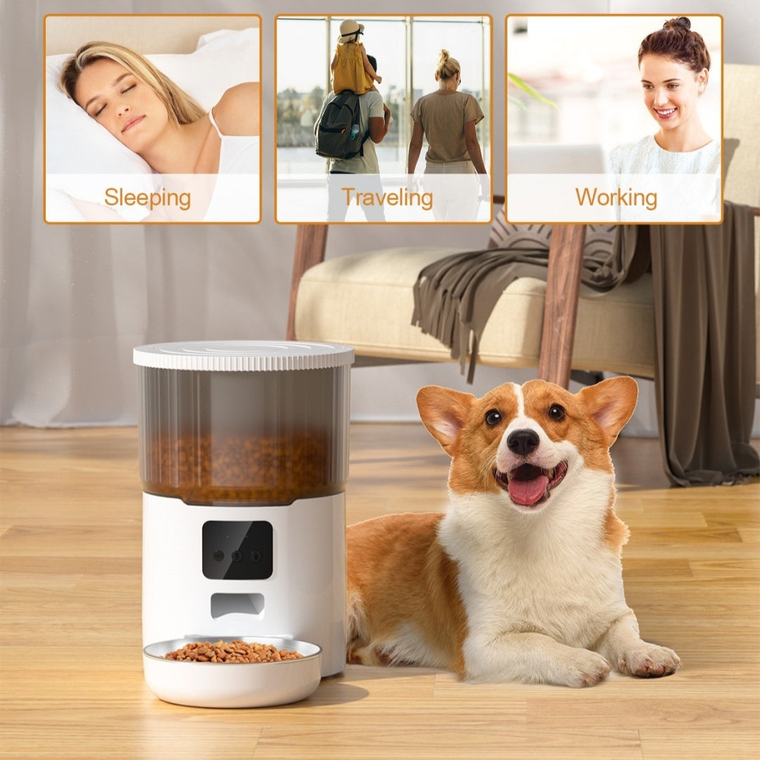 Smart Cat Dog Automatic Pet Feeder