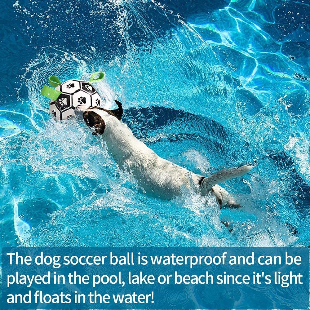 Inflated Football Training Toy For Dogs