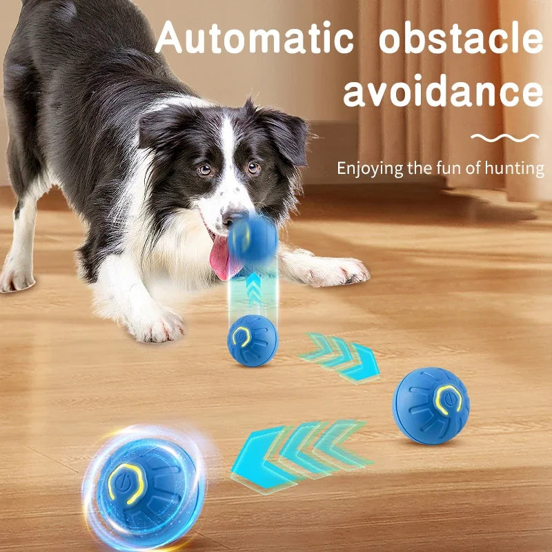 USB Smart Automatic Moving Dog Ball