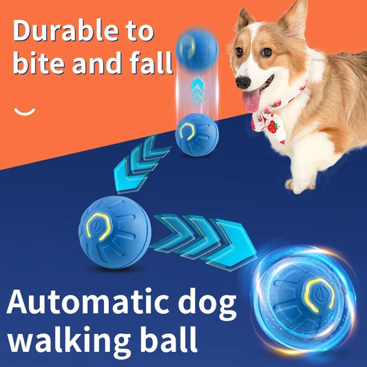 USB Smart Automatic Moving Dog Ball