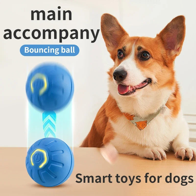 USB Smart Automatic Moving Dog Ball
