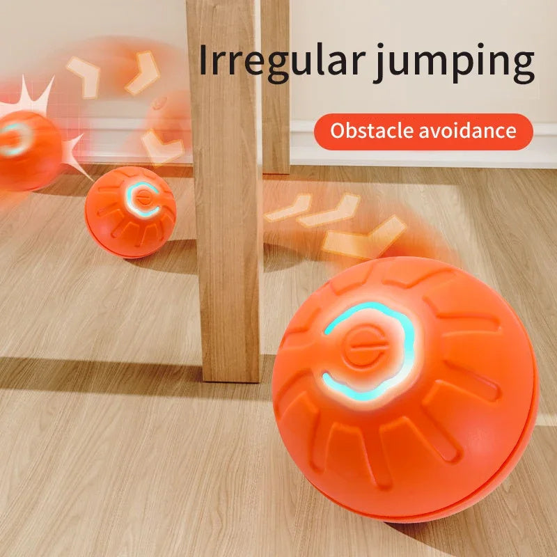 USB Smart Automatic Moving Dog Ball