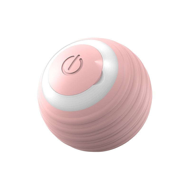 USB Smart Automatic Moving Dog Ball