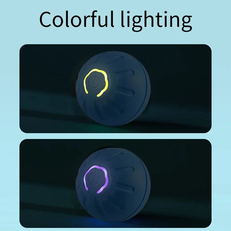 USB Smart Automatic Moving Dog Ball