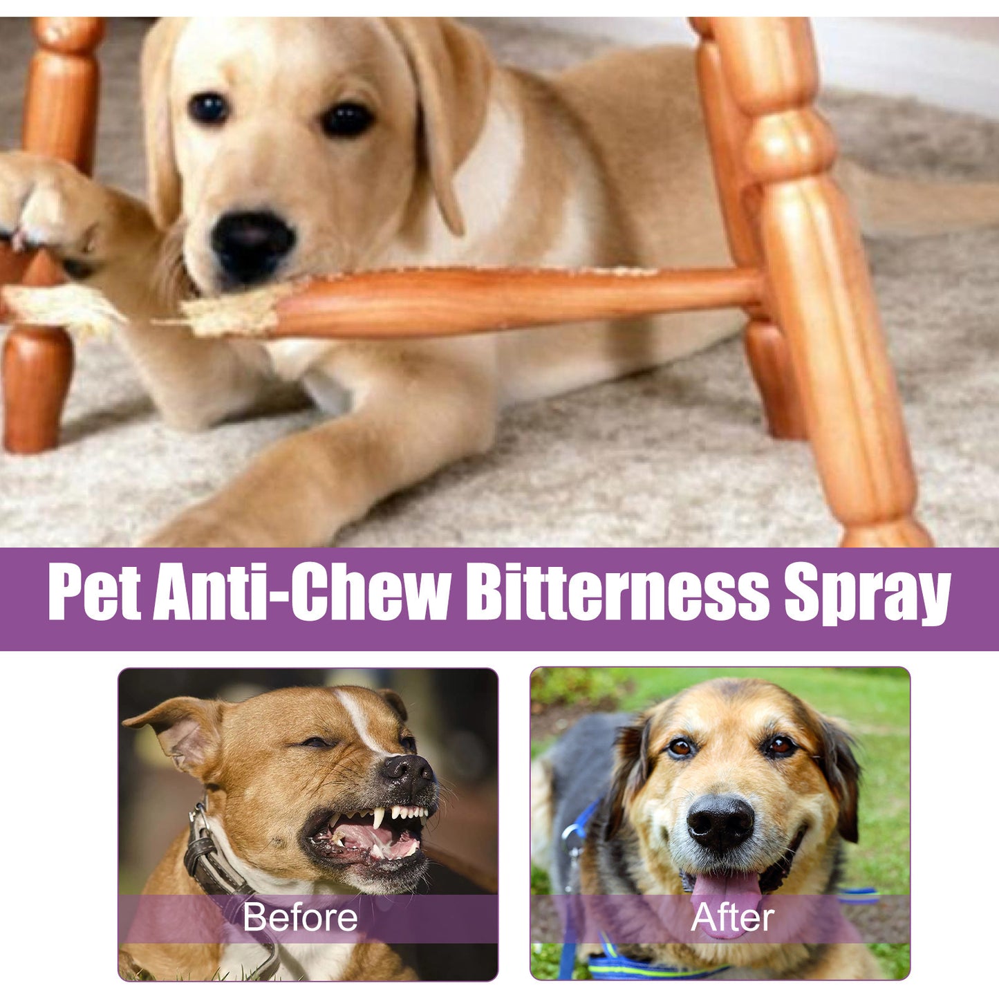Pet Soothing Noise Reduction Calm Spray